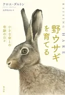 <<海外文学>> 野ウサギを育てる 小さな命との奇跡の日々 / クロエ・ダルトン