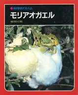 <<動物学>> 科学のアルバム 060 モリアオガエル