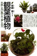 <<園芸>> 観葉植物 失敗しない育て方・楽しみ方