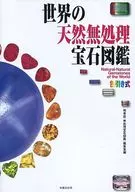 <<地球科学・地学>> 世界の天然無処理宝石図鑑 色引き式