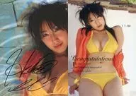 AT-9[直筆サインカード(/50)]：☆佐藤寛子/直筆サインカード(/50)/佐藤寛子 オフィシャルカードコレクション Other Self story