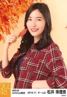 松井珠理奈/上半身/SKE48 2016年11月度 net shop限定個別生写真「2016.11」「秋の行楽」