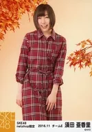 須田亜香里/膝上・両手下/SKE48 2016年11月度 net shop限定個別生写真「2016.11」「秋の行楽」