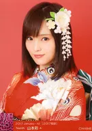 A：山本彩/2017 January-rd [2017福袋]