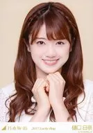 樋口日奈/バストアップ/2017 福袋 Lucky Bag