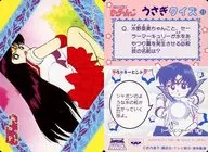 23[ノーマル]：セーラーマーズ