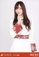 梅澤美波/上半身・スペシャル衣装10/「2018.May」WebShop 限定 ランダム生写真