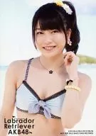 横山由依/水着・上半身/CD「ラブラドール・レトリバー」通常盤特典