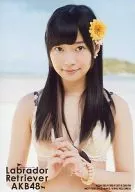 指原莉乃/水着・上半身/CD｢ラブラドール・レトリバー｣通常盤特典