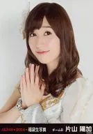 片山陽加/バストアップ/2014 福袋生写真