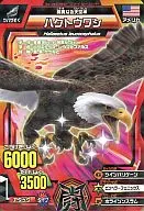 C32A-060：ハクトウワシ