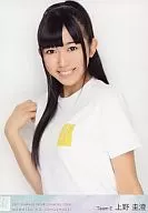 上野圭澄/バストアップ/DVD｢真夏の上方修正｣