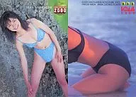 043 ： 坂本三佳/レギュラーカード/BOMB CARD FRESH2000
