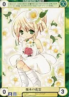 No.3701[C]：接木の花霊