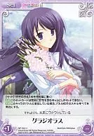 NP-342[U]：グラジオラス