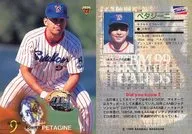 339[レギュラーカード]：ペタジーニ