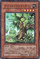 DT08-JP031[SR]：ナチュル・ホワイトオーク