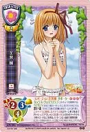 CH-0737C[P]：芙蓉  楓