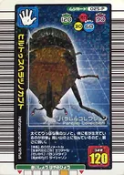 025-P[パラレル]：ヒルトゥスヘラヅノカブト