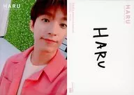 044 ： SEVENTEEN/DK(ドギョム)/ノーマルカード/「SEVENTEEN 2019 JAPAN TOUR ’HARU’」トレーディングカード