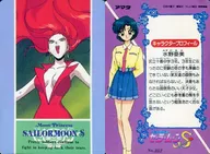 No.352[ノーマル]：カオリナイト