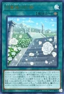 20PP-JP011[UR]：白薔薇の回廊