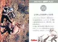 260B：シラキュラスをやっつけろ