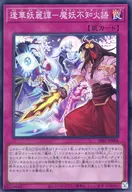 SSB1-JP004[SR]：逢華妖麗譚-魔妖不知火語