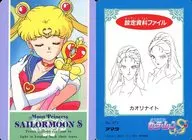 No.371[ノーマル]：セーラームーン