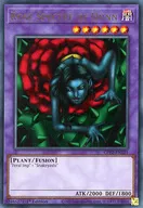 GFP2-EN121[UR]：Rose Spectre of Dunn/バラに棲む悪霊