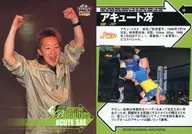 18[レギュラーカード]：アキュート冴