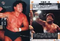 275[レギュラーカード]：天龍源一郎