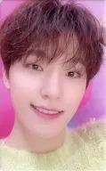 SEVENTEEN/DINO(ディノ)/背景ピンク/CD「JAPAN 1ST EP DREAM」SEVENTEEN Weverse Shop JAPAN特典クリアフォトカード