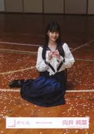 向井純葉/座り/櫻坂46ランダム生写真【「夏の近道」MV衣装】