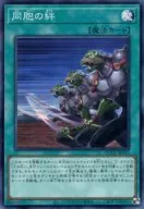 QCCU-JP197[SR]：同胞の絆