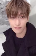 SEVENTEEN/ドギョム(DK)/DxS 1st Mini Album「Serenade」(BLUE Ver.)封入フォトカード