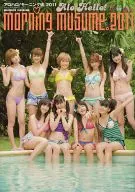 <<ハロプロ>> DVD付)アロハロ! モーニング娘。写真集 2011