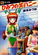 ひみつの(禁)バニー