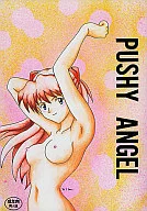 <<新世紀エヴァンゲリオン>> PUSHY ANGEL / 今井祐紀 / SYSTEM SPECULATION