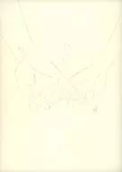 <<ポケットモンスター>> ずっと / 一朽レモン （ダンデ×ソニア） / キトルスのねごと