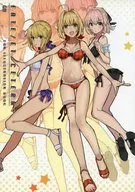 <<Fate>> FATE/ET CETERA / 手島nari。 / meisaiya
