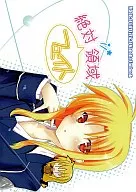 <<魔法少女リリカルなのは>> 絶対フェイト領域 / 尾鴉 / 藍兎 / からうさっ!