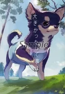 zhoro48608_2