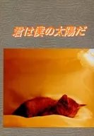 <<炎の蜃気楼（ミラージュ）>> 君は僕の太陽だ / 若林健 （直江信綱×仰木高耶） / 架空螺旋