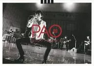 PAO Vol.89 パオ