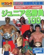週刊ゴング 1996年1月2日増刊号