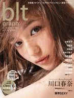 ポスター欠)blt graph. vol.15