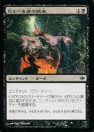 57/145[C]：【CON】忌むべき者の頸木/Yoke of the Damned