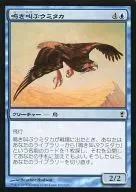 105/210[C]：【CNS】鳴き叫ぶウミタカ/Screaming Seahawk
