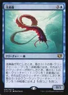 016/337[R]：【C14】浅瀬蟲/Reef Worm